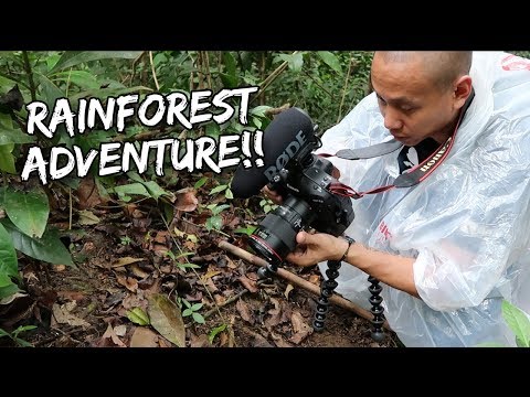 RAIN FOREST ADVENTURE IN SAINT LUCIA | Vlog #158