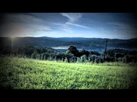 Gal in galeristi - Nočna