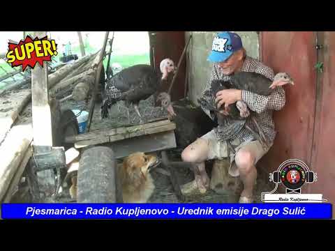 Josip Grden   Pjesmarica Radio Kupljenovo