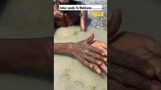 Lotus Seeds To Makhana Entire Full Video. ..#nursery #garden #gardeninglife #gardening #skgn #lotus