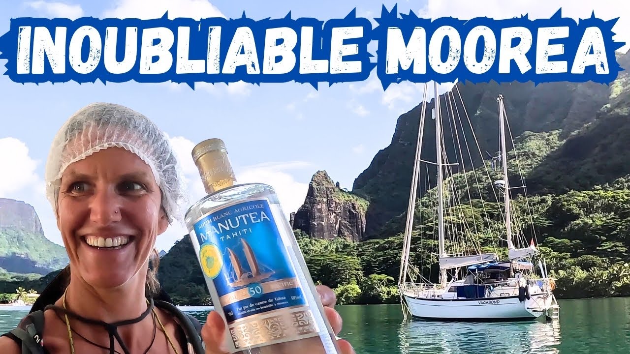 Moorea: Sailing against the elements and experiencing unforgettable encounters – Vlog 79
