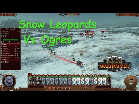 Snow Leopards Vs Ogres Total War Warhammer III