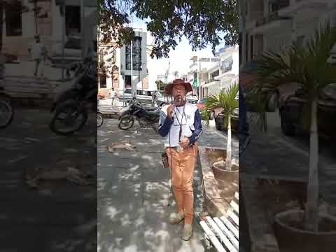 NA FEIRA LIVRE DA MINHA CIDADE LAGOA DOS GATOS PERNAMBUCO