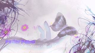 The Flower In My Hand