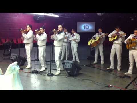 Mariachi Los Toros- El Cascabel