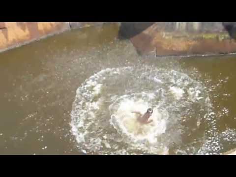 Centrala Surducu Mic