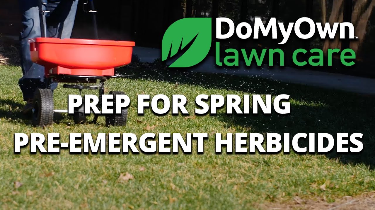 Spring Pre-Emergent Prep Tips | DoMyOwn.com