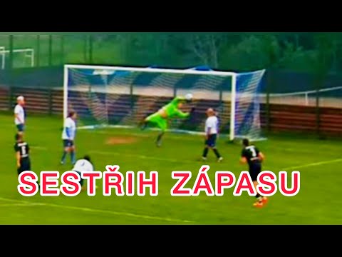 TJ Sokol Dolní Kralovice proti TJ Svoboda Ratměřice 8:0