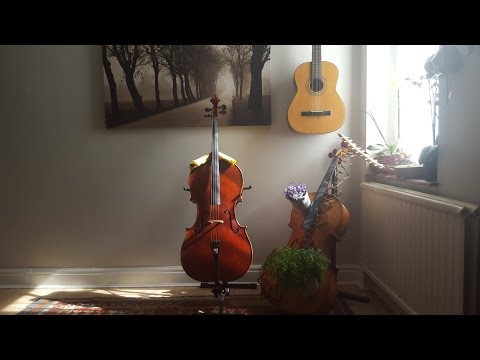 Live Looping on an electric cello - Just Because