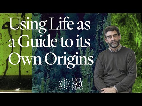 Using Life as a Guide to its Own Origins | Interview with Prof. Nick Lane