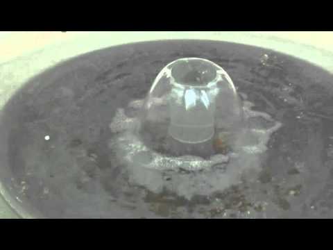 Dr. med. Walter Irlacher Vortrag Teil 4 (Ende)