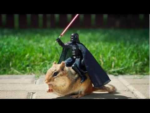 Os Cretinos e Mc WM - Qual BumBum Mais Bate