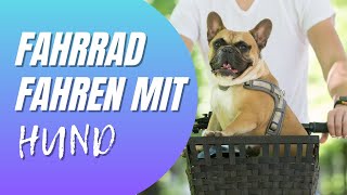 Fahrrad fahren mit Hund - Unsere erste Tour mit Fahrradanhänger