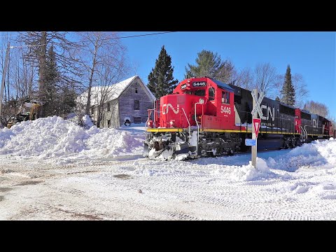 Rolling Past The DSS&A RR House as REA is cutting down a tree.  3/4/2022