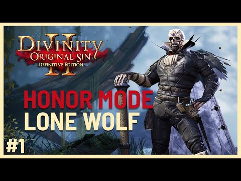 Divinity: Original Sin 2 - Honour Mode Lone Wolf Run | The Hold | #1