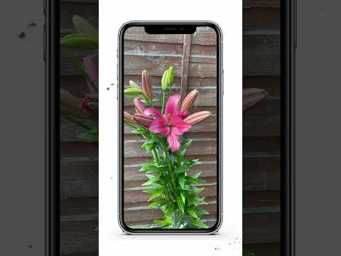 Easy iPhone flower camera hack 🌷🔥📸 #shorts