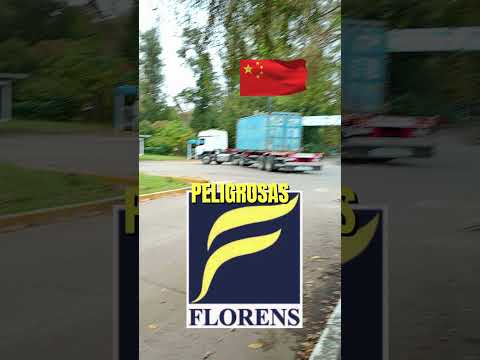 CAMIONES FANTASMA ⚠️CONTENEDORES DE EEUU Y CHINA - Que llevan?  #vecinospodridos #viral #shorts