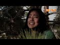 DJ AFRO THE GODS MUST BE STUPID ALIVE HD ACTION MOVIE JUNE 2023