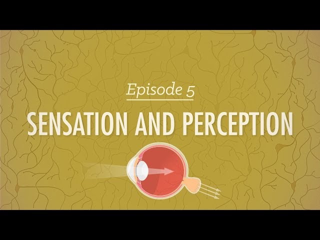 Video Pronunciation of sensation in English