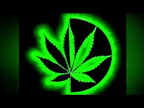 Towy ft. Osquel Beltito Y Sammy Y Falsetto - Le-am ( Prod. Super Yei  Y Jone Quest )