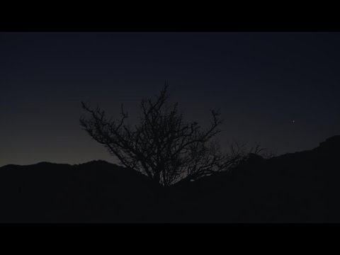 Woodkid - Minus Sixty One (Death Stranding 2: On The Beach Intro)