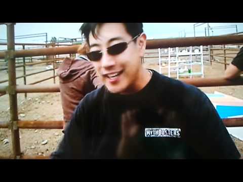 Mythbusters Bull in a China Shop