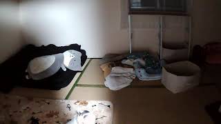 フミくん定点カメラ