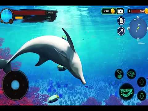 The Dolphin