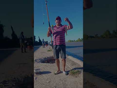 Variada en el puerto de Victoria Entre Rios.            Dale 👍 y Suscribite