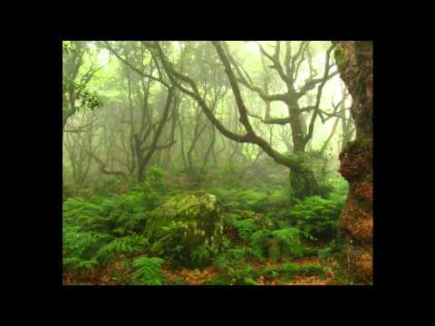 Szprancyl - Las - ForestDubRiddim (JahLove)