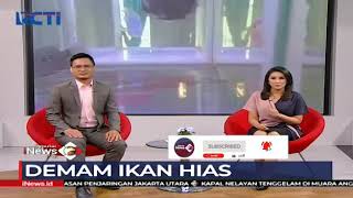 Download lagu Berita RCTI Seputar iNEWS...Peternak Ikan Louhan Di Tanjungbalai mp3 Download lagu Berita RCTI Seputar iNEWS...Peternak Ikan Louhan Di Tanjungbalai mp3