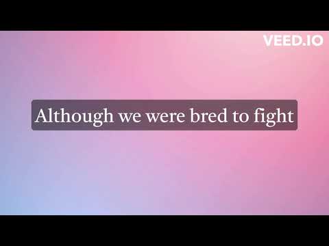 The Apology Song Lyrics - The Book of Life Beat (Karaoke)