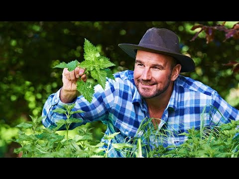 The Natural Navigator with Tristan Gooley