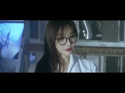 DNP IMAGINGCOMM EUROPE B.V. | Candy's VS V300