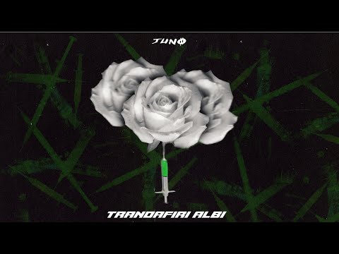 Video thumbnail for Trandafiri albi