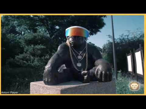 chillwagon   @ 1h #chillwagon #@