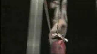 Syd's Flying Trapeze Pull-Over Shoot