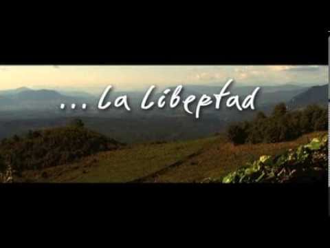 Aire Nuevo - La Libertad (Official Vídeo)