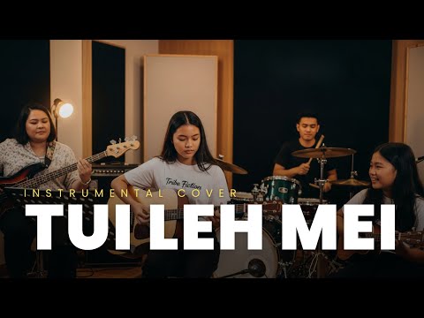 TUI LEH MEI – Instrumental Cover | SaiWanah ft. Omomi
