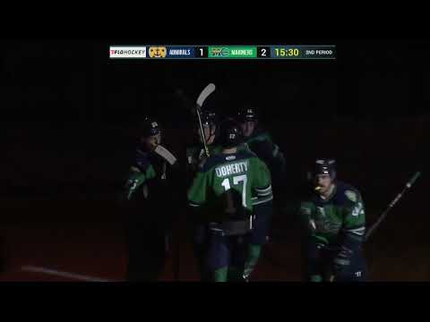 Maine Mariners vs. Norfolk Admirals highlights - 1/28/23