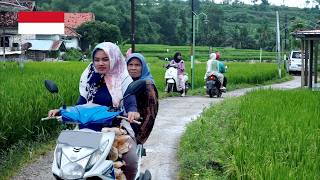 Download lagu Village life in indonesia, in a very beautiful countryside, indonesia village mp3