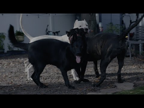 HIPHOP CON100CIA #35 fin de año 2023 -Al2 El Aldeano