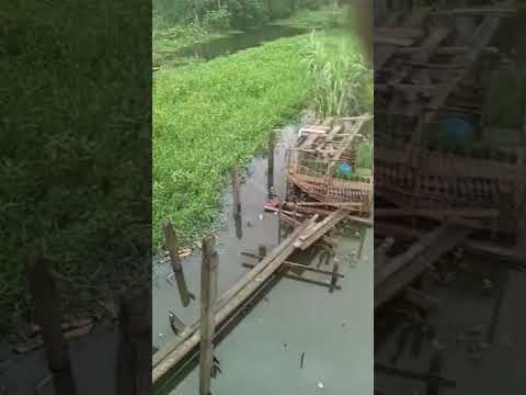 veja como fica aqui no Amazonas município de Anamã quando começa a alagar #viral #amazonas