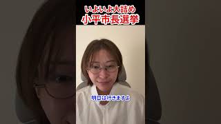 【小平市長選挙最終日】応援に駆け付けます　#さとうさおり #松岡あつし #小平市長選挙 #自民党 #減税党 #会計士