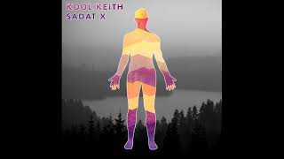 Kool Keith  feat  Sadat X - Life
