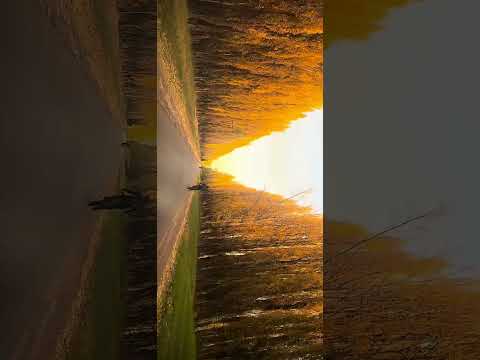 “Los colores del Alto Valle, algo especial en esta época 🍂Paso Córdoba — General Roca, Río Negro.”
