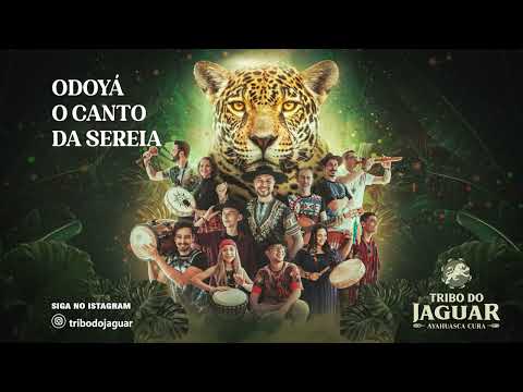 Odoyá O Canto Da Sereia - Tribo do Jaguar