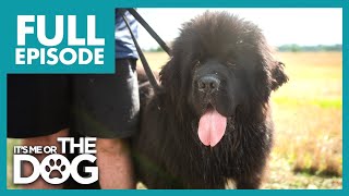 Thumbnail del capítulo