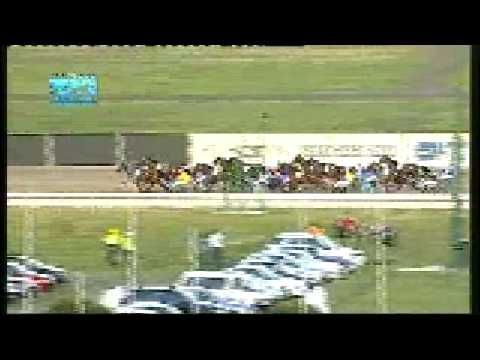 moonee valley  cup 2008 bold cruiser