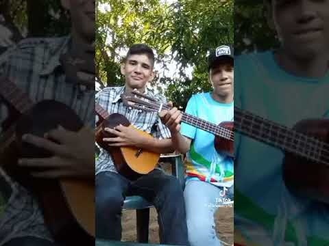 EL CACHICAMO Y EL MORROCOY🤠